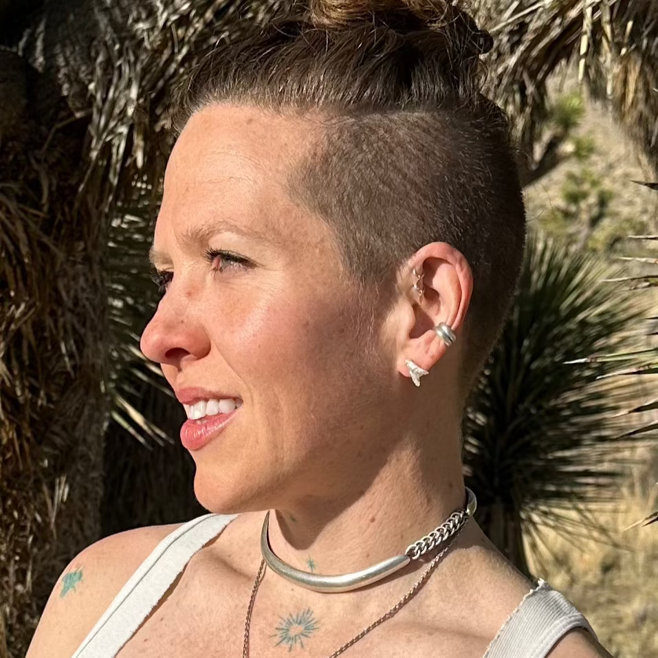 FLY earrings