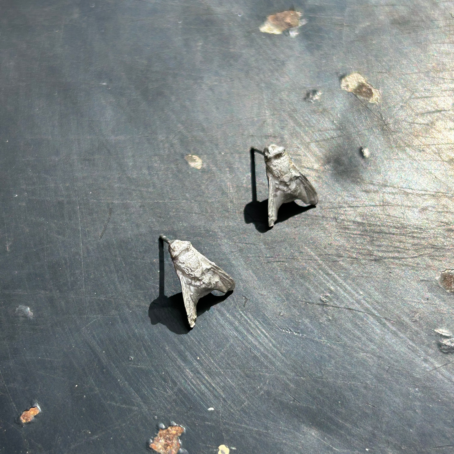 FLY earrings